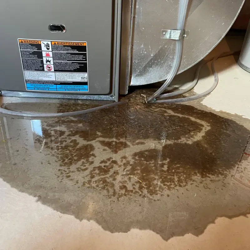 Appliance Leak Cleanup in Templeton, CA